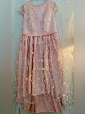 Pink Floral Embellished Hi-Lo Party Dress See Measurements for Size